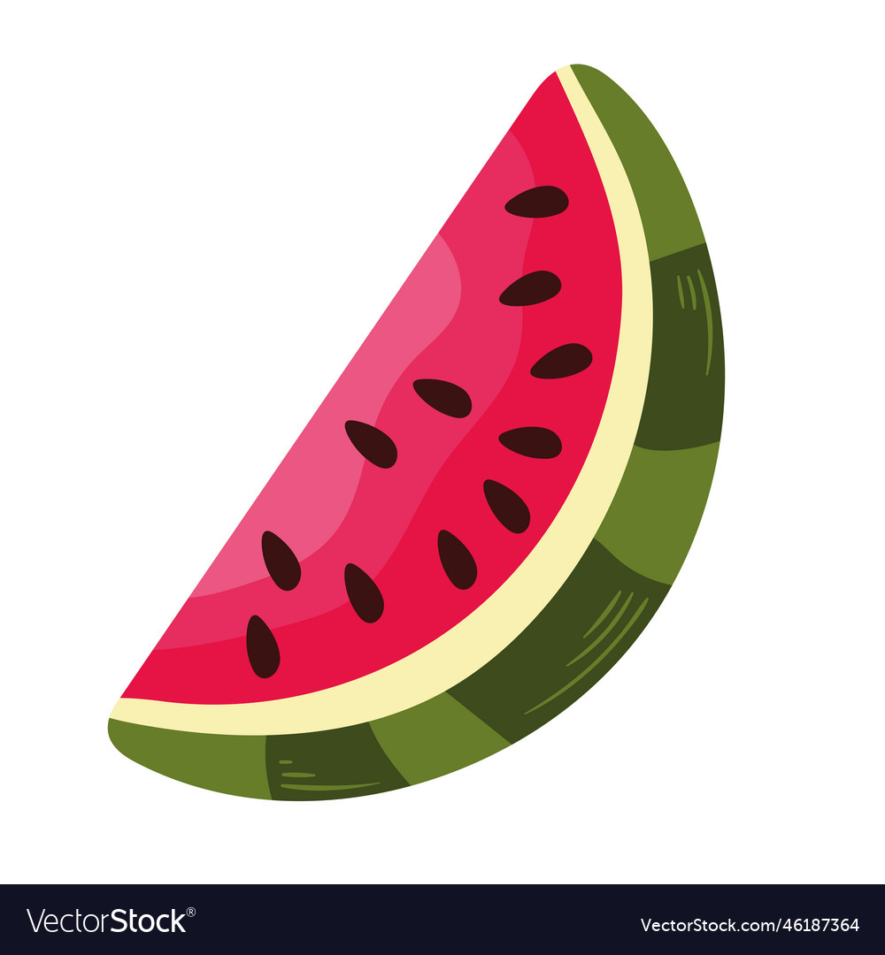 Fresh watermelon fruit healthy Royalty Free Vector Image