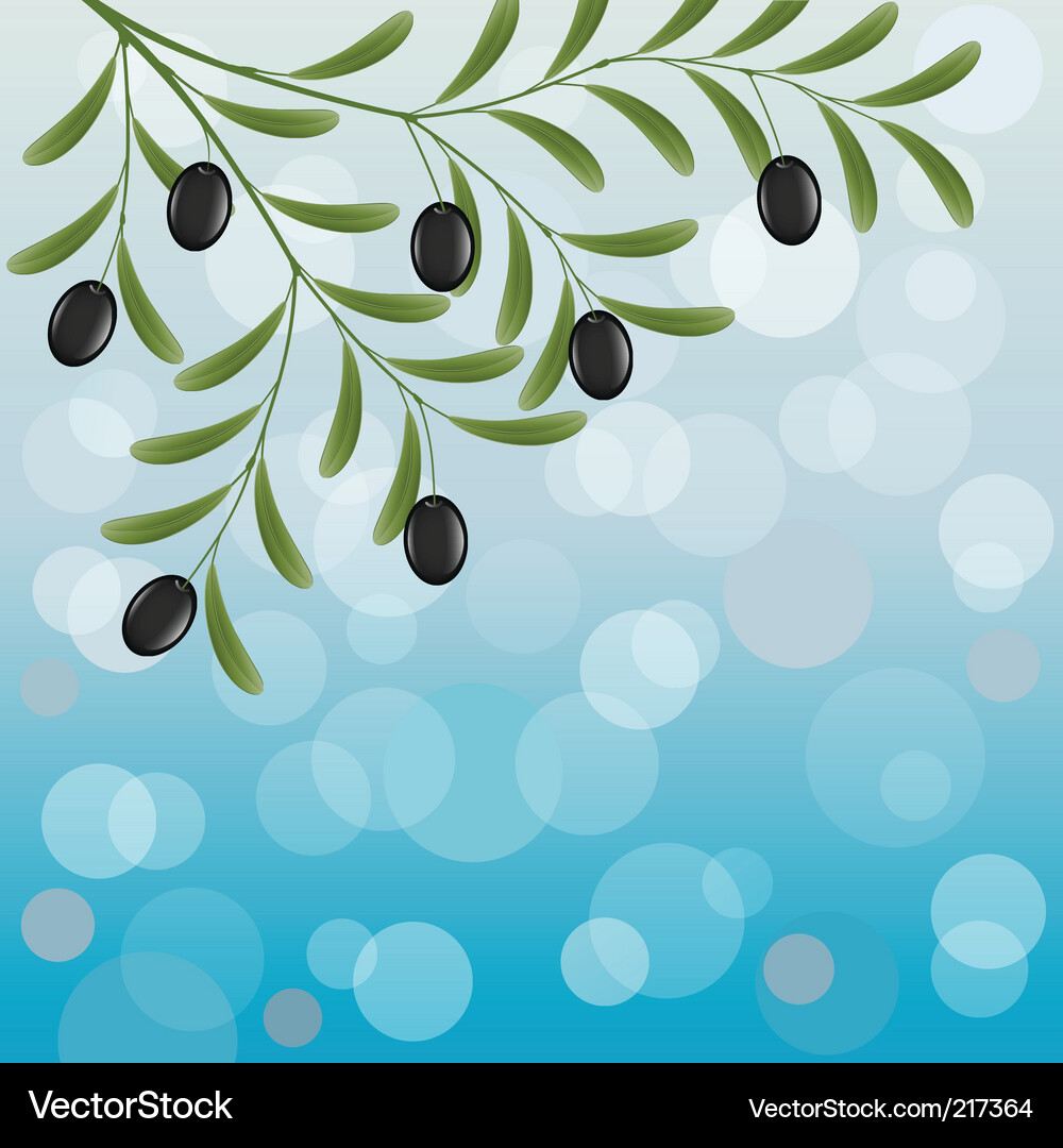 Olive branch Royalty Free Vector Image - VectorStock