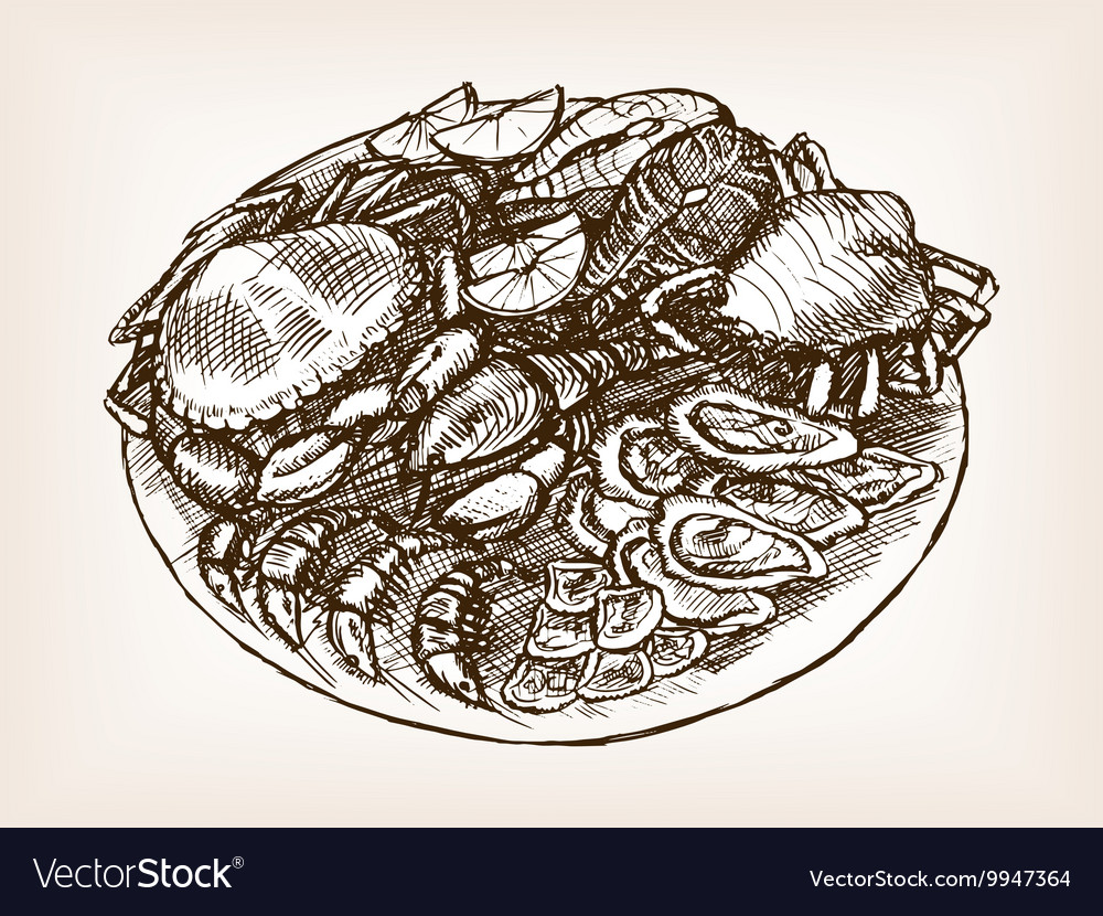 Seafood still life hand drawn sketch style