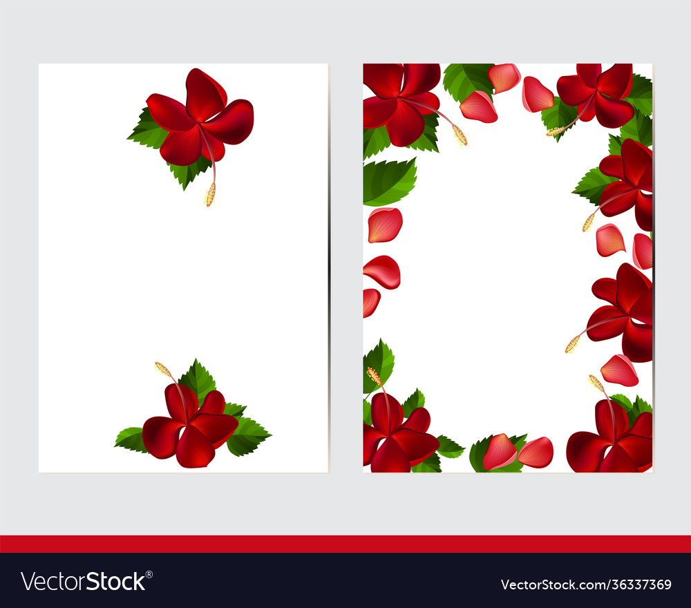 Grußkarten mit floralen Elementen und Hibiskus vector image Grußkarten mit floralen Elementen und Hibiskus