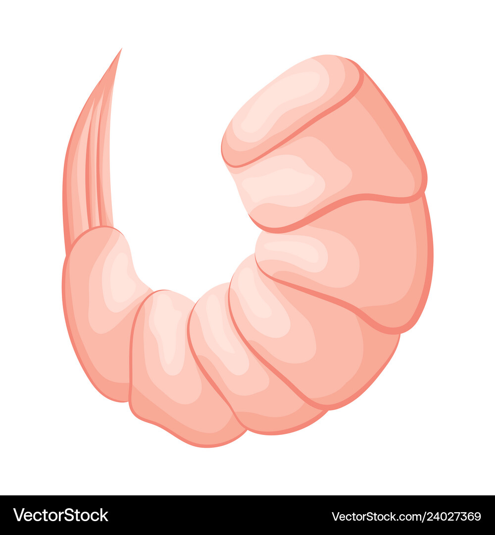 Isolated object of prawn and creature icon set Vector Image