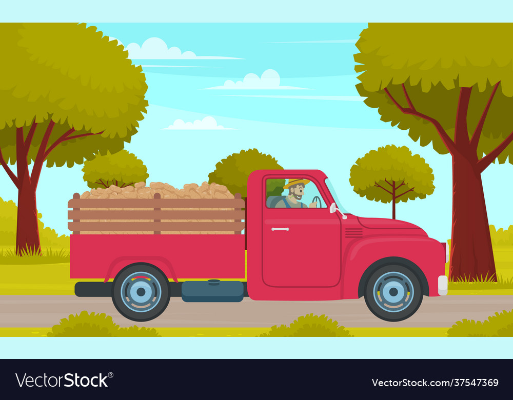 Man driving lorry with potato harvest on rural