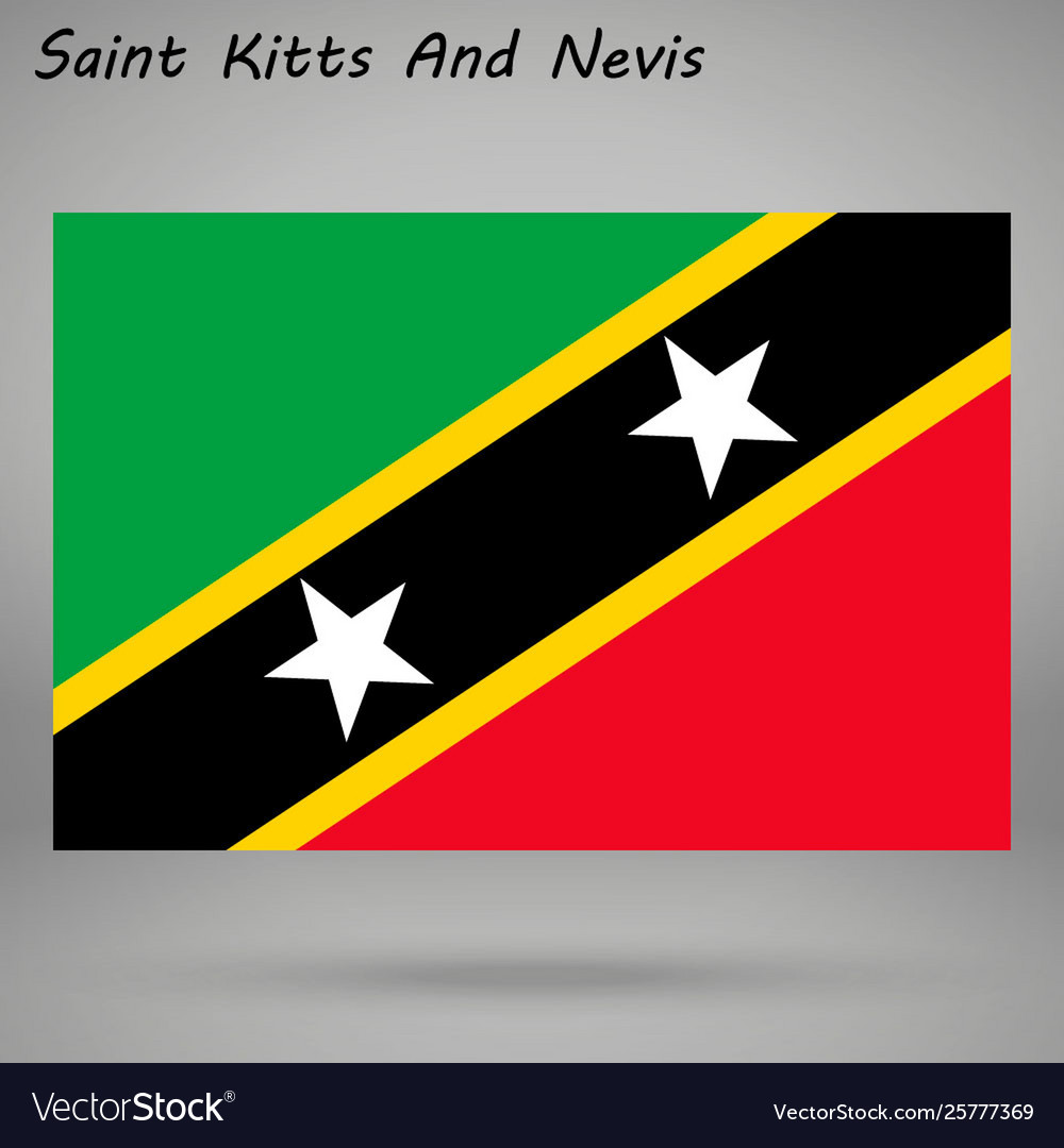 Simple flag isolated vector image Simple flag isolated