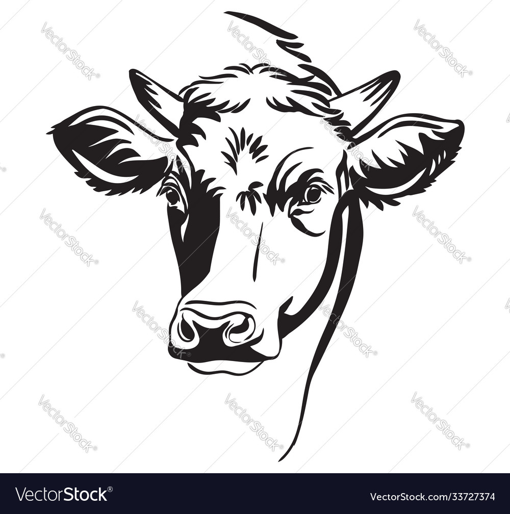 Abstract portrait bull Royalty Free Vector Image