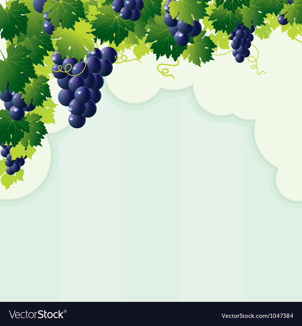 Abstract Grape Vine Frame