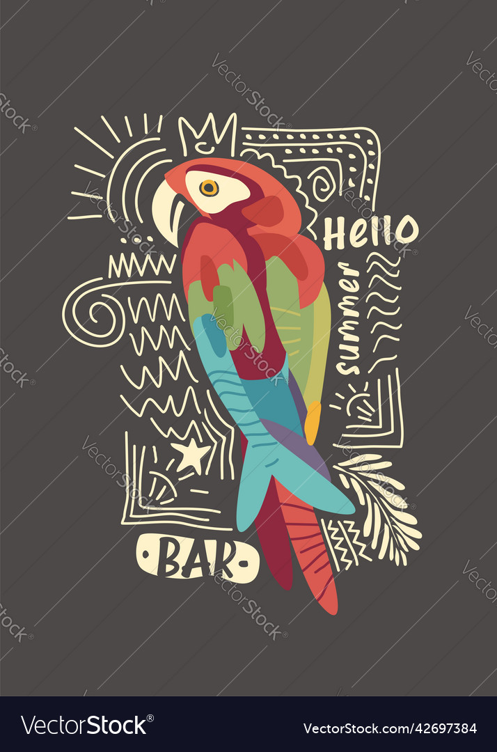 Parrot drawing vector image Parrot drawing