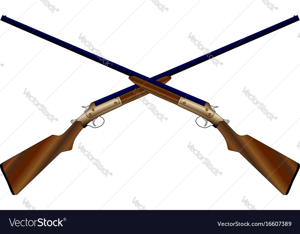 Crossed chotguns Royalty Free Vector Image - VectorStock