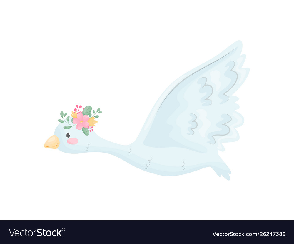 Cute swan is flying on white