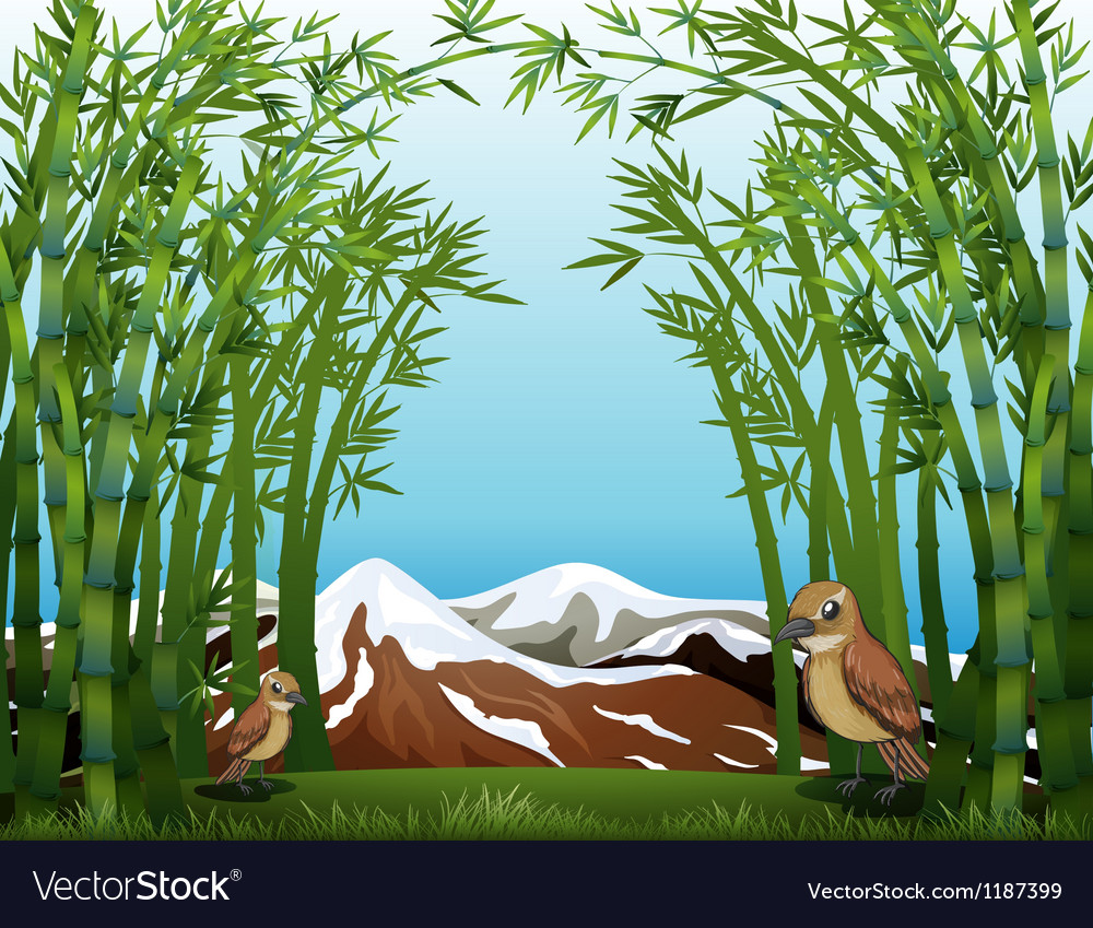 A bamboo forest view Royalty Free Vector Image