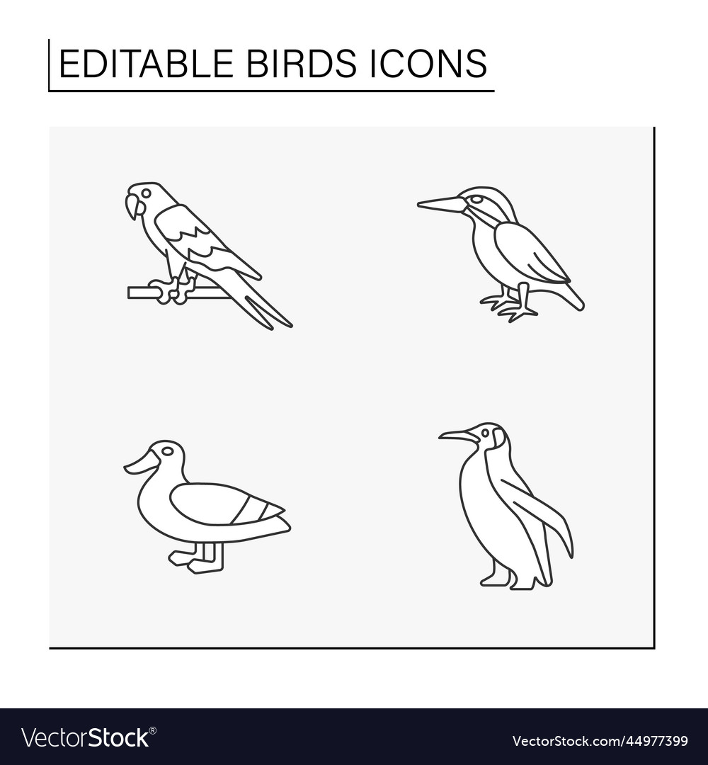 Birds line icons set