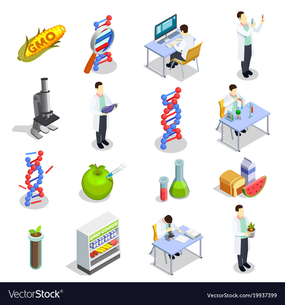 Genetically Modified Organisms Isometric Icons Vector Image