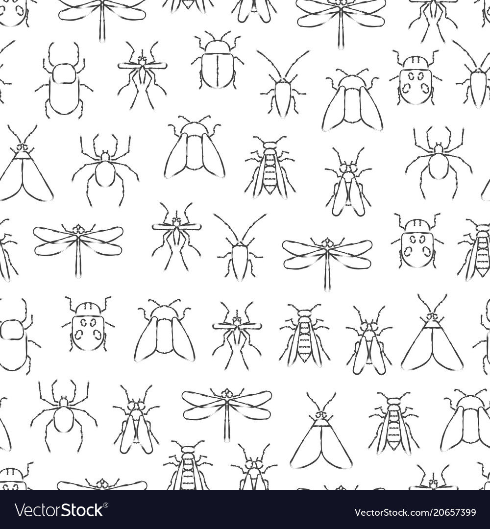 How To Draw Insects