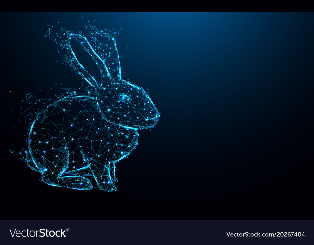 Abstract rabbit form lines and triangles point Vector Image