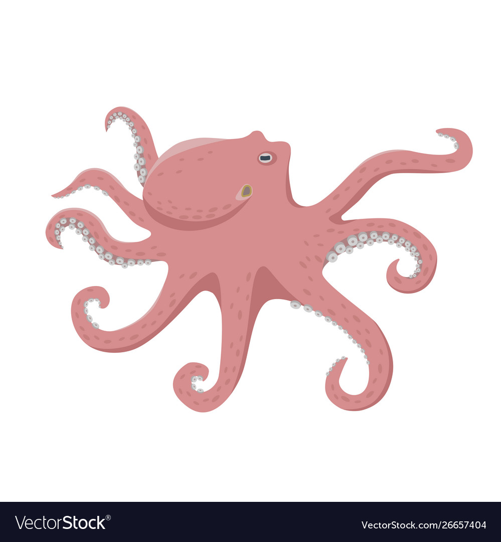 Octopus in flat design Royalty Free Vector Image