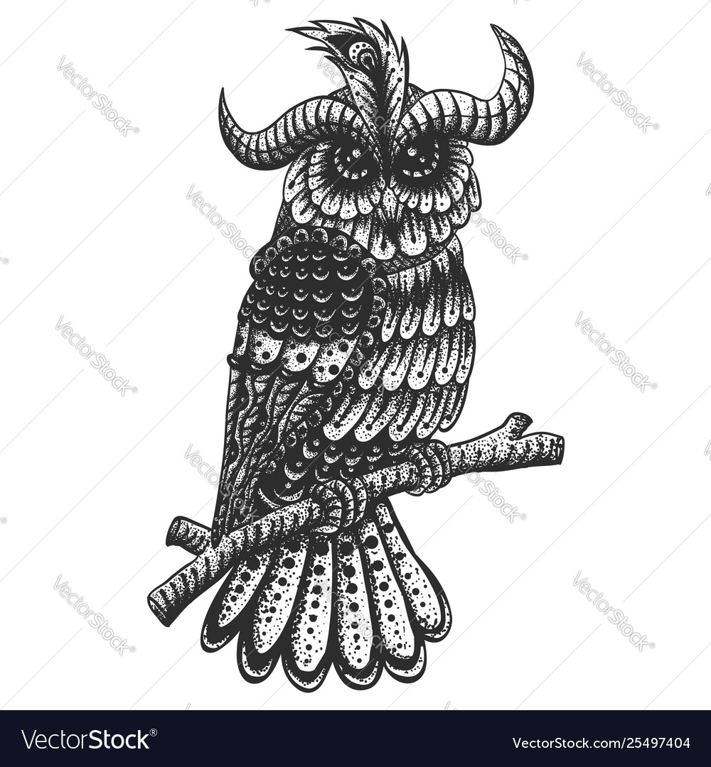 Owl decoration vintage vector image Owl decoration vintage
