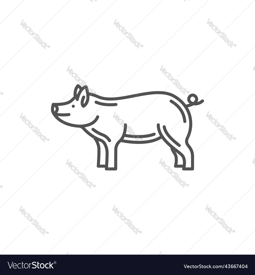 Pig chinese horoscope sign new year animal linear vector image Pig chinese horoscope sign new year animal linear