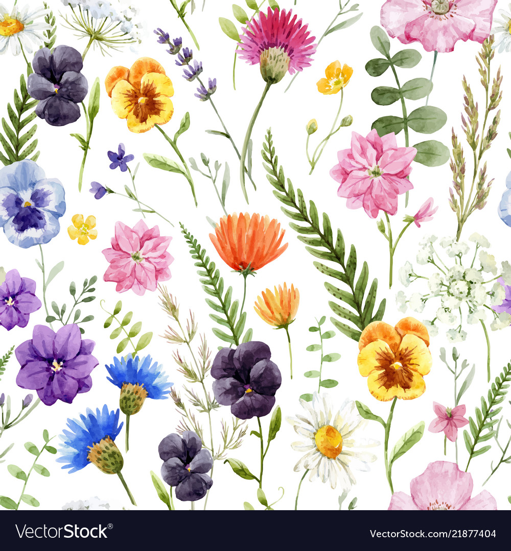 Watercolor floral pattern Royalty Free Vector Image