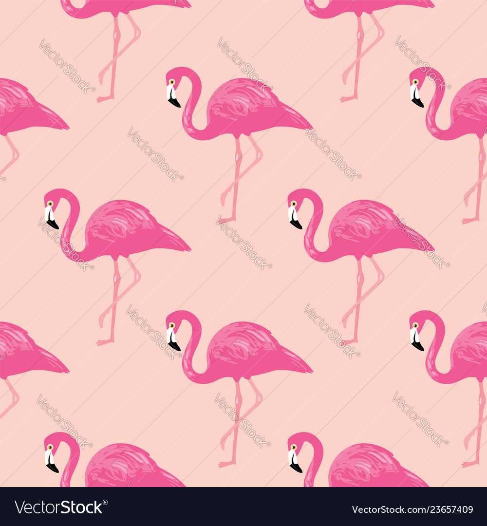 Flamingo Seamless Pattern