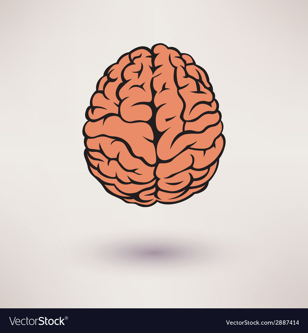 Brain icon on the white background