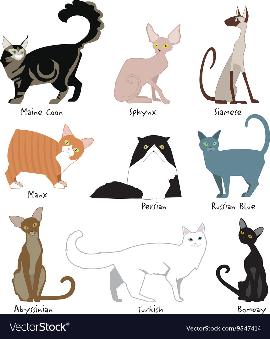 Cats Royalty Free Vector Image - VectorStock