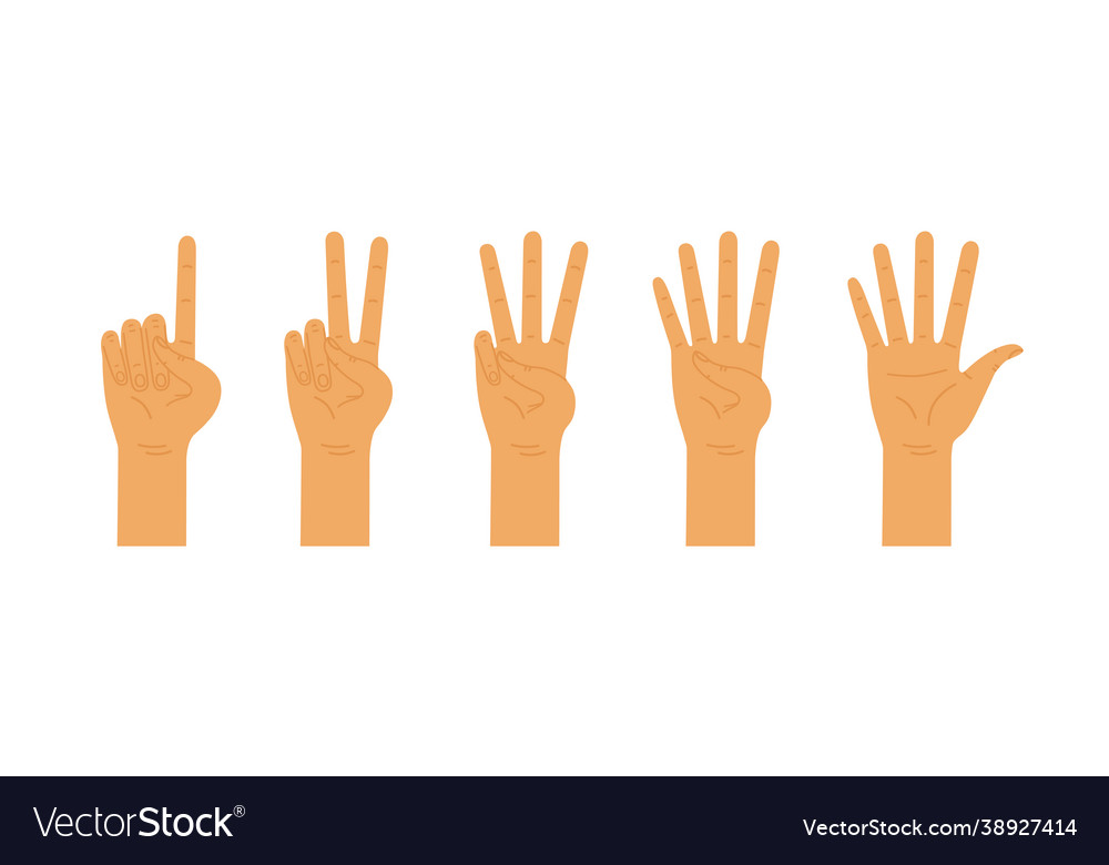 Hands counting from one to five Vector Image Hands counting from one to five