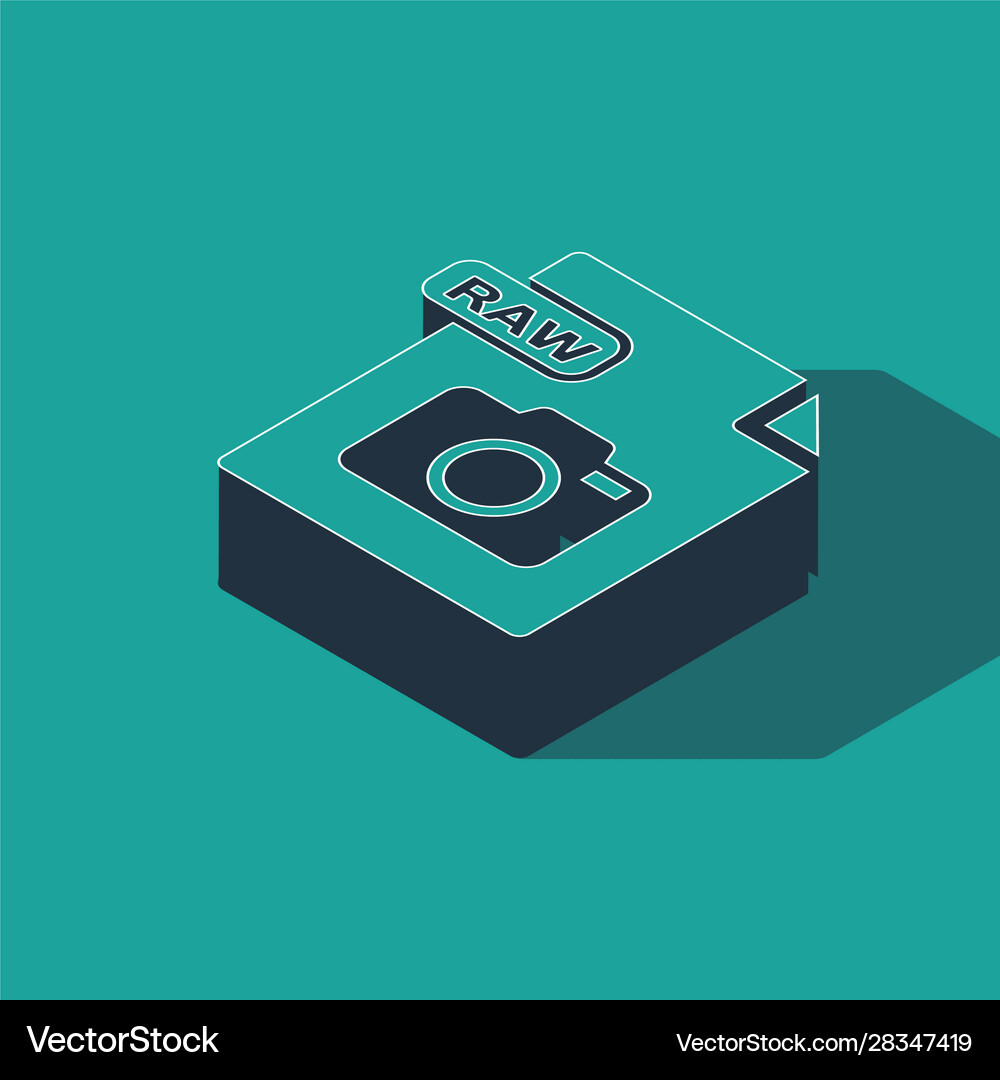 Isometric raw file document download button Vector Image