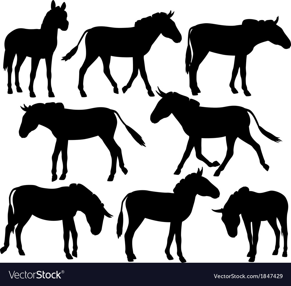 Equine Silhouettes - Donkeys & Zebras