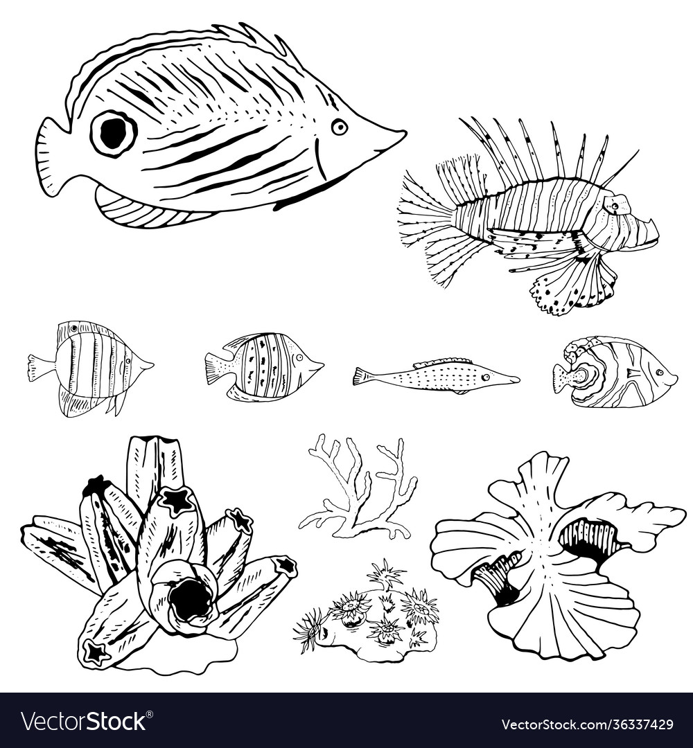 Set mit verschiedenen Meeresfischen und Korallen schwarz vector image Set mit verschiedenen Meeresfischen und Korallen schwarz