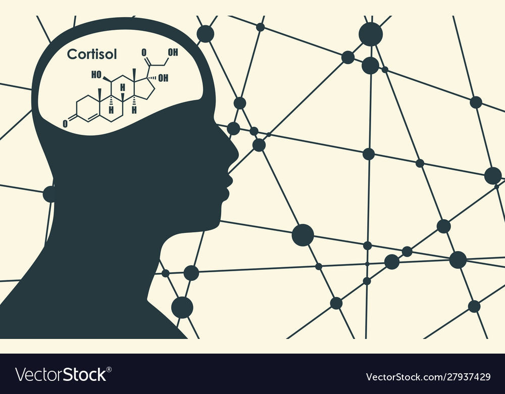 Steroidhormon Cortisol