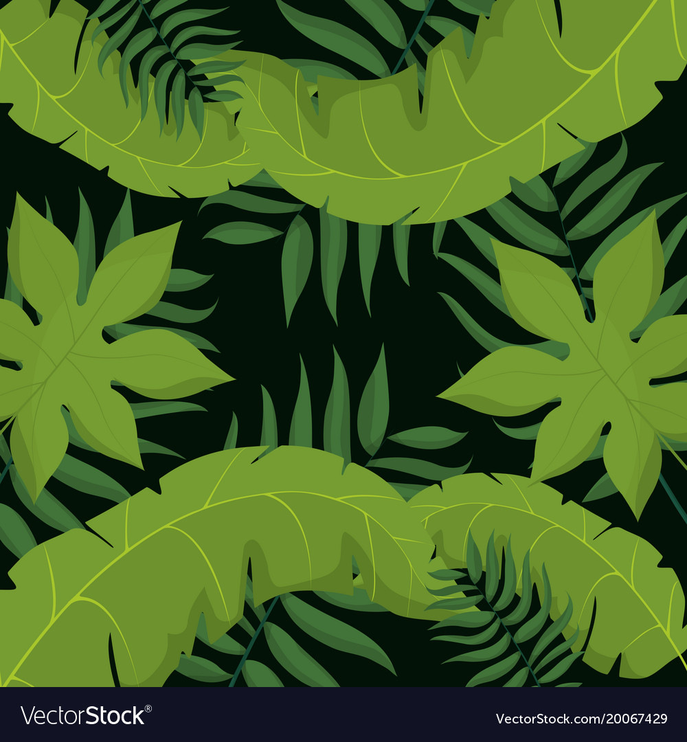 Tropical leaves background Royalty Free Vector Image