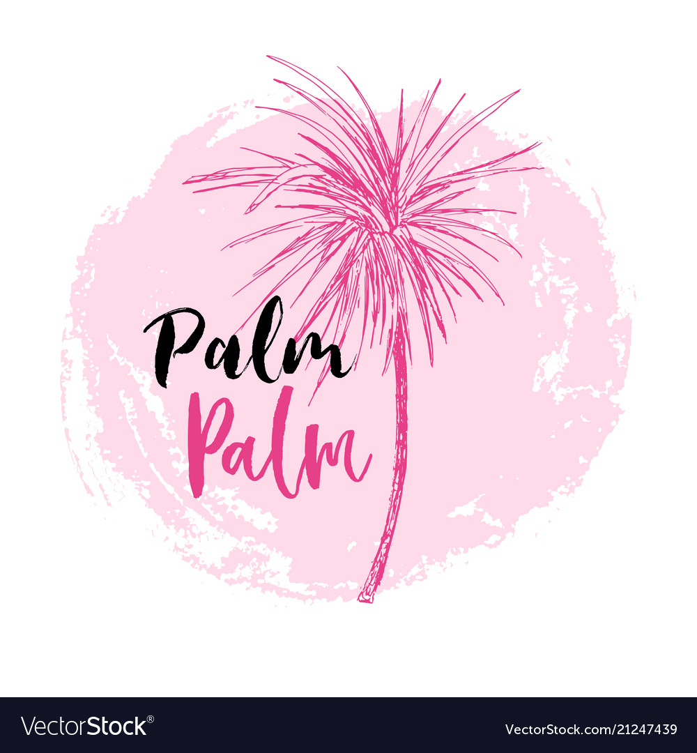 Coconut palm or queen palmae with leaves poster