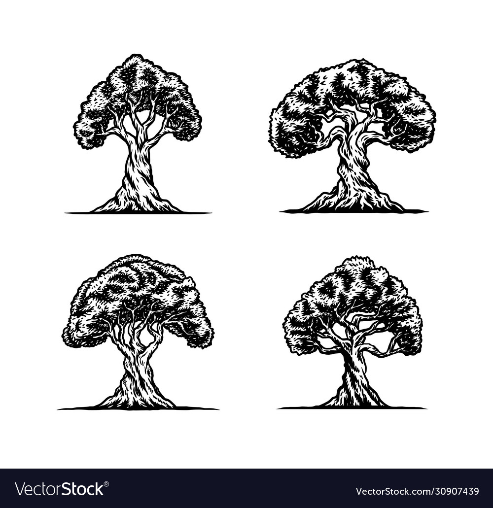 Elegant Tree Collection