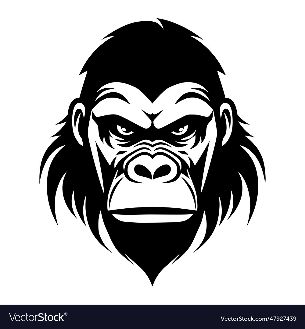 Gorilla head logo Royalty Free Vector Image - VectorStock