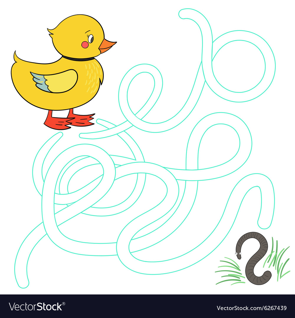 Labyrinth maze find a way duck