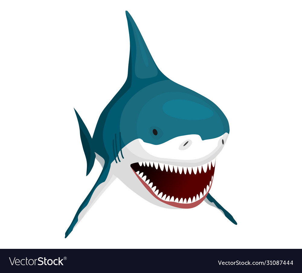 BIG Shark Official YouTube #2 BIG Shark Official YouTube