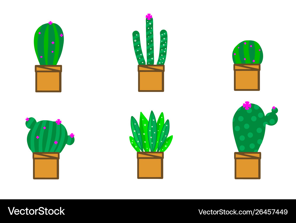 Green cactus set Royalty Free Vector Image - VectorStock