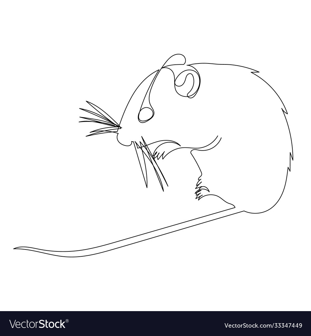 Isolated drawing with one continuous line rat