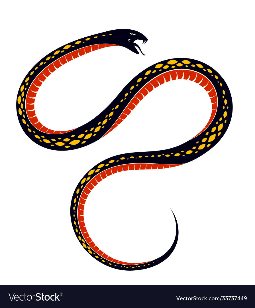 Snake tattoo deadly poison dangerous serpent