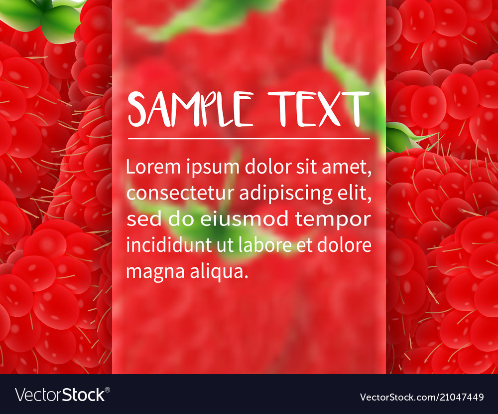 Template for design with frame text vector image Template for design with frame text