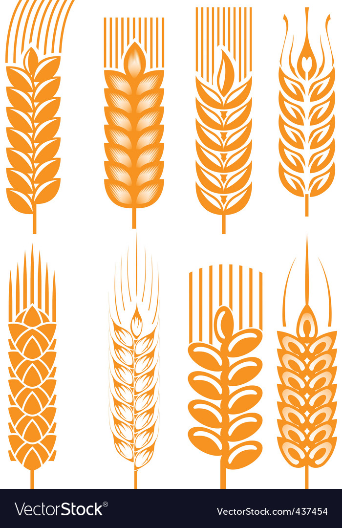 Wheat Field Collection