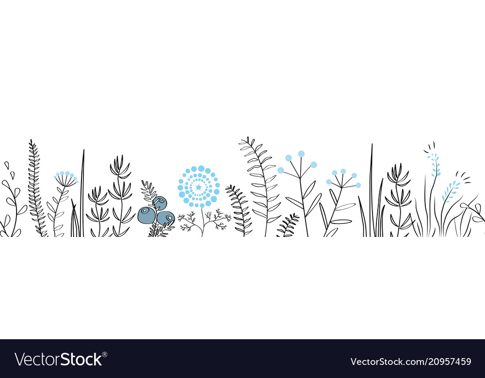 Seamless border with forest and meadow plants