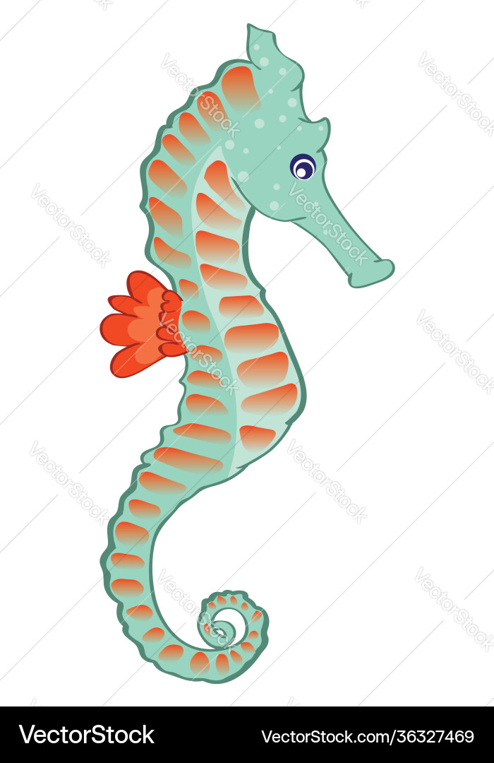 Cartoon sea horse Royalty Free Vector Image - VectorStock