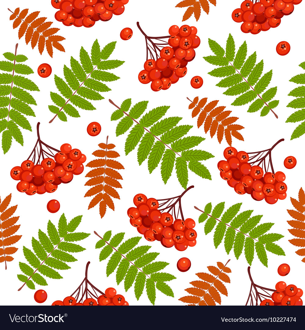 Autumn seamless pattern with rowan