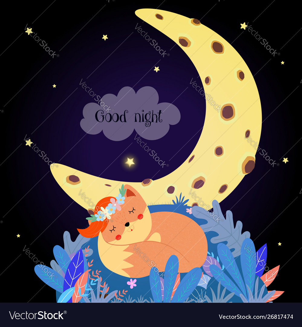 Cute Fox Sleeping Curl Up In Forest Field At Night Vector