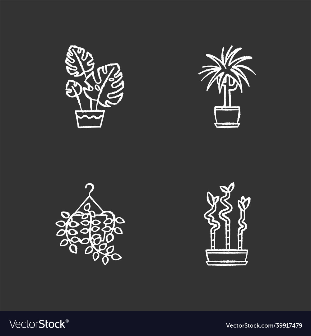 Domesticated plants chalk white icons set vector image Domesticated plants chalk white icons set