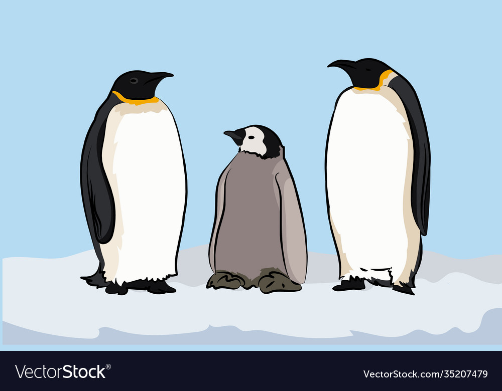 Emperor-penguin-family Royalty Free Vector Image