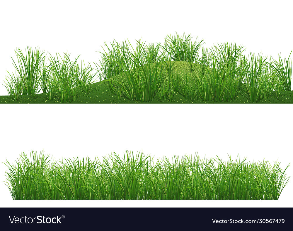 Grass background