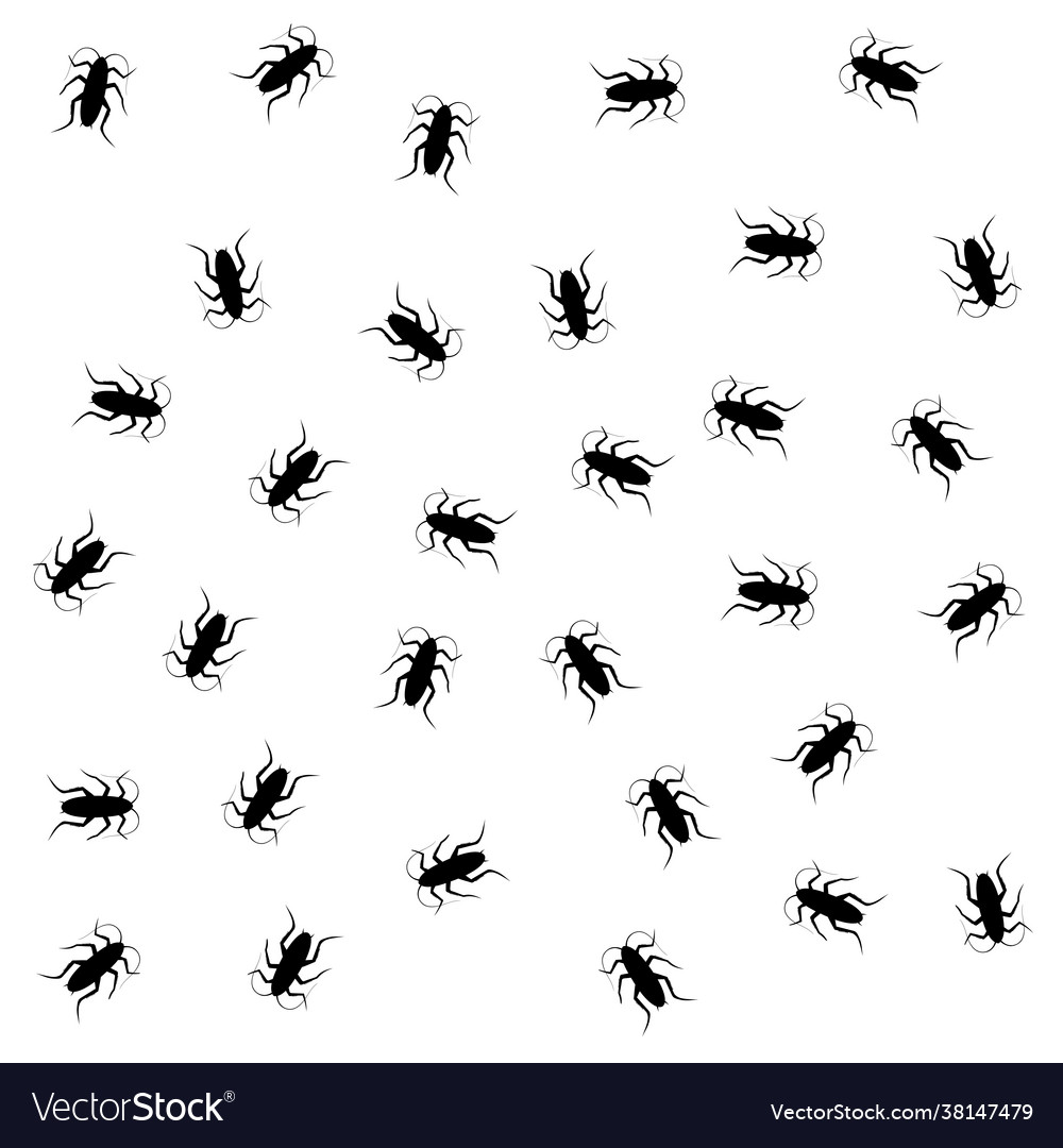 Insect pattern Royalty Free Vector Image - VectorStock