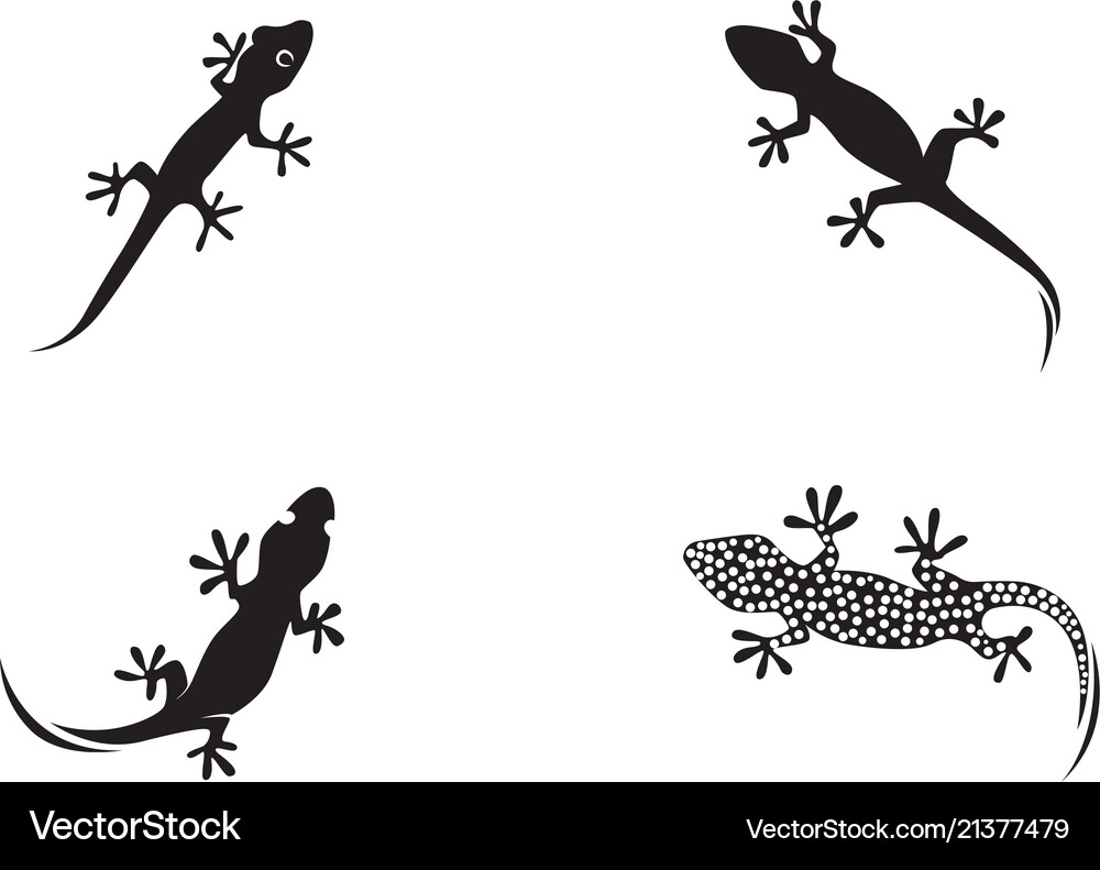 Lizard chameleon gecko silhouette black Royalty Free Vector