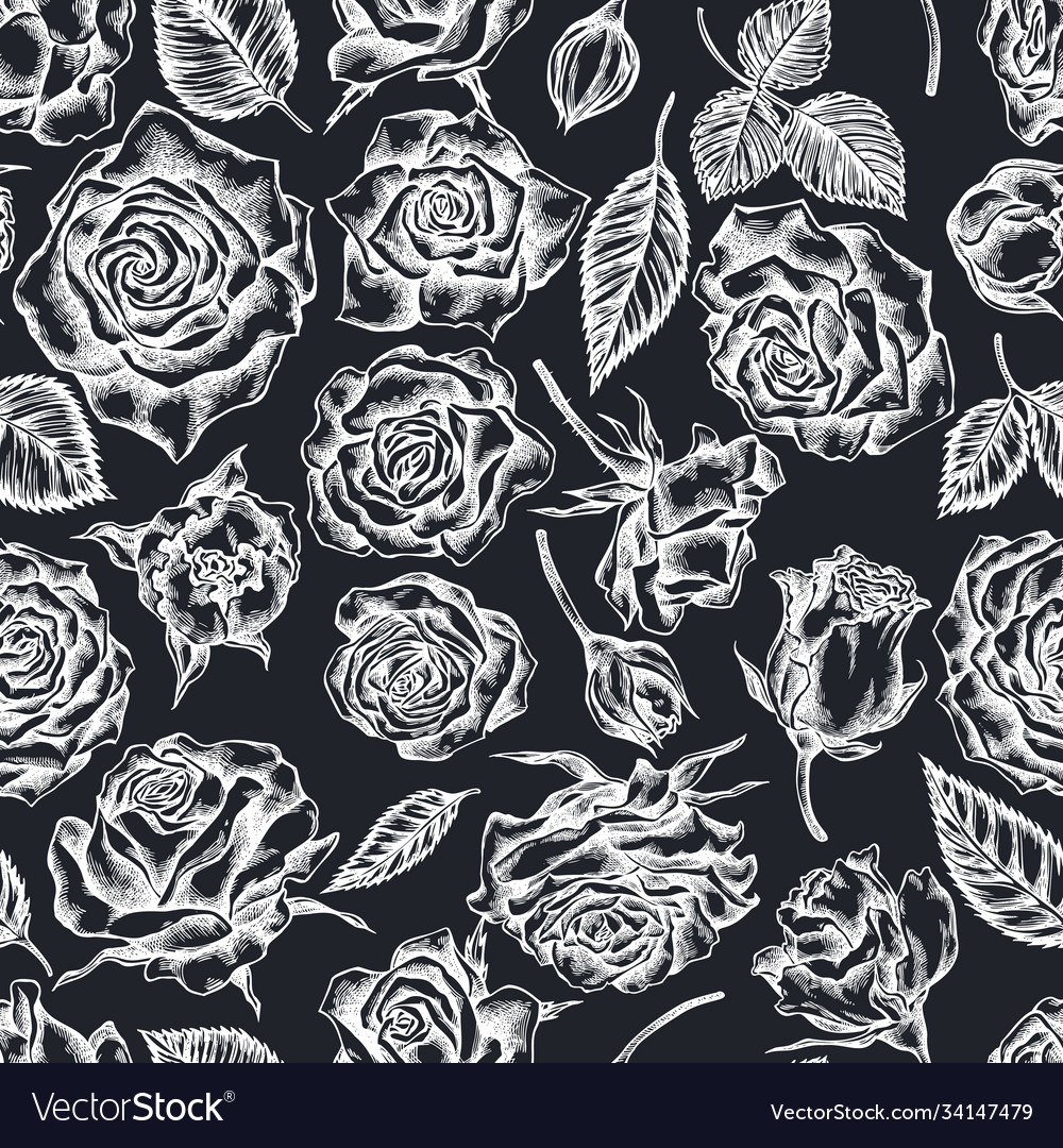 Seamless pattern with hand drawn chalk roses Vector Image